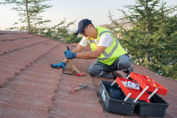 Best Metal Roofing Contractor  in Pflugerville, TX